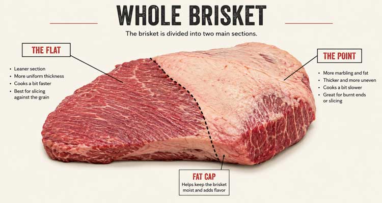 Diagram of a whole brisket showing the flat and point sections clearly labeled.