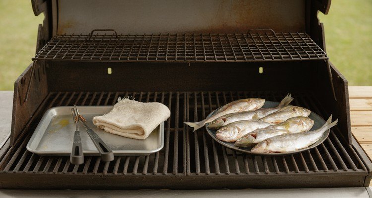 Clean grill grates prepared with oil and raw fish ready for grilling
