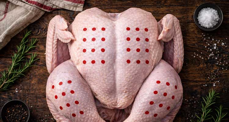 Overhead view of whole raw turkey with marked injection points shown as red dots on breast thighs and legs in grid pattern diagram style
